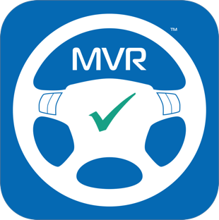 5 year motor vehicle report icon 